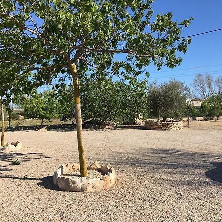 Caseta Les Creus Riumar Ngoại thất bức ảnh