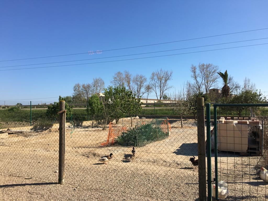 Caseta Les Creus Riumar Ngoại thất bức ảnh